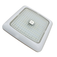 LED Ceiling Light (White and Red)