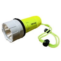 Waterproof LED Floating Torch with 3 Modes (High, Low, Strobe)