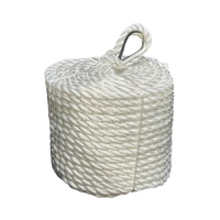 Silver Rope 50m x 10mm